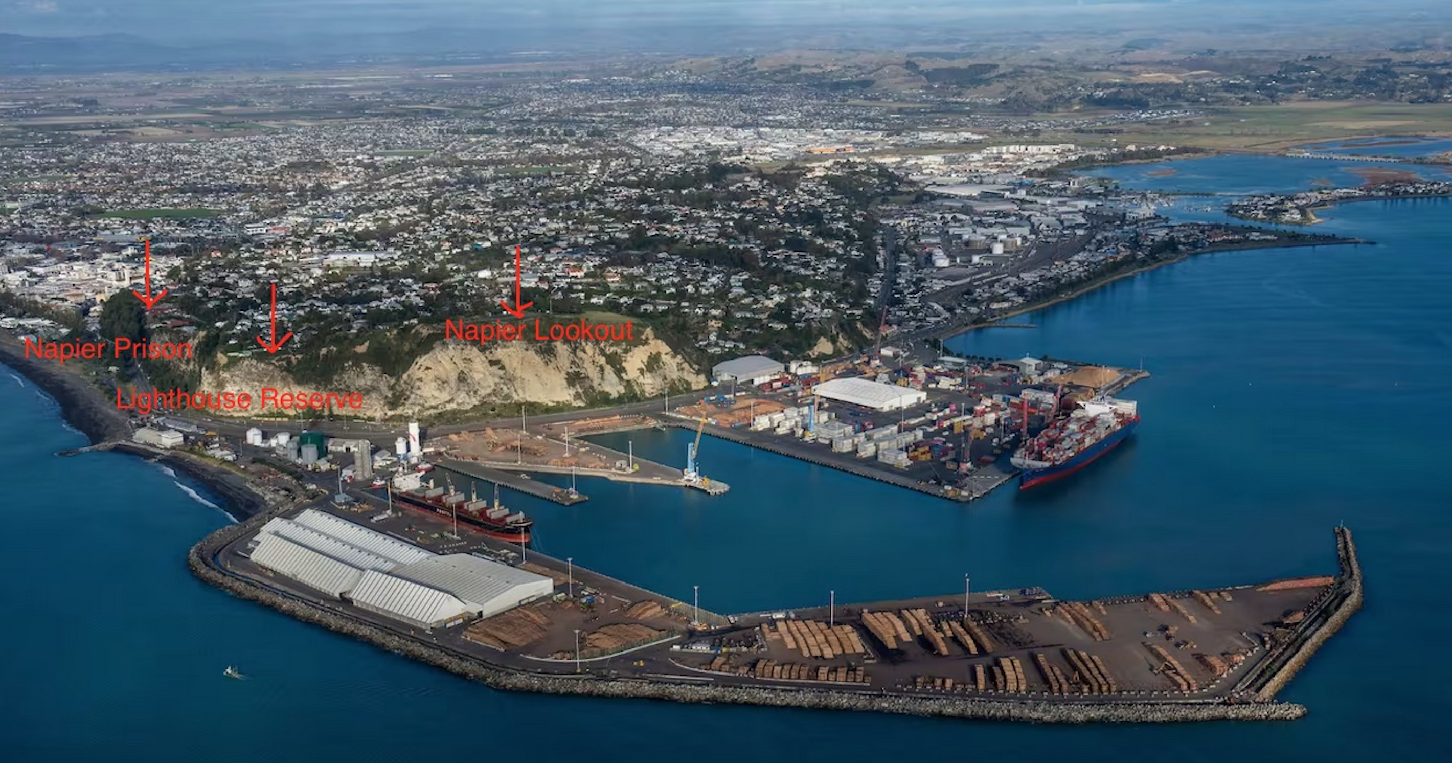 Screen Shot 2024-08-10 at 9.21.15 AM