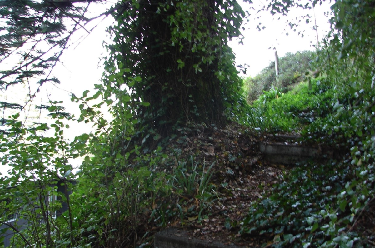 Stacks Image 40