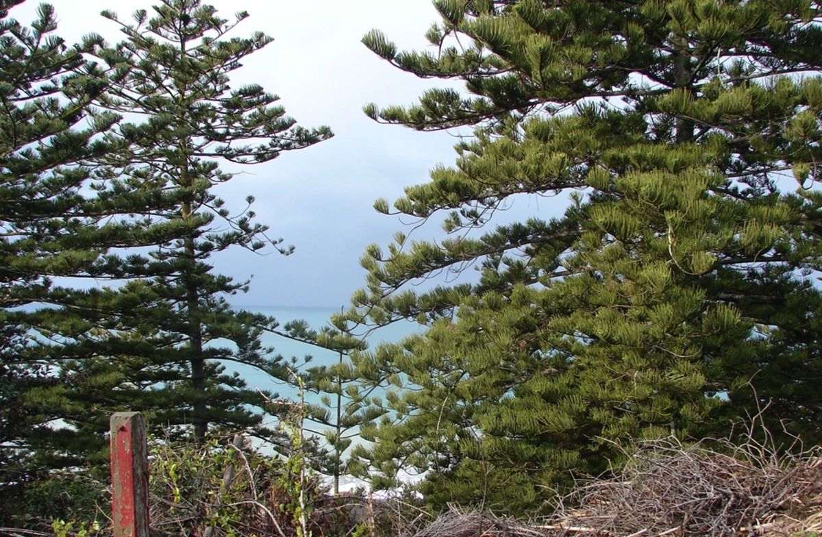 Stacks Image 80