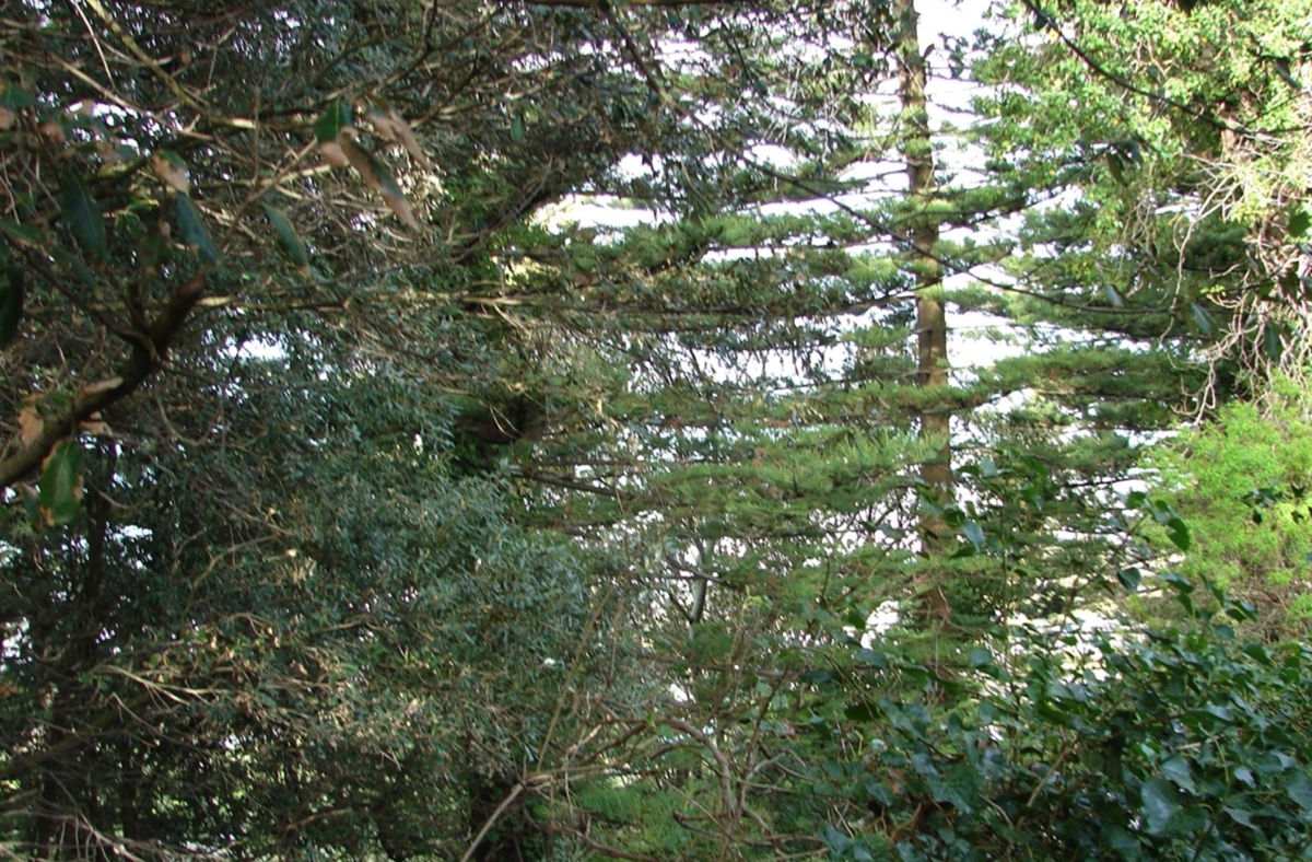 Stacks Image 64